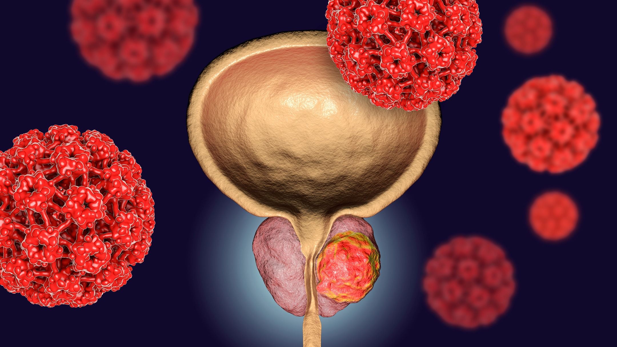 Prosta Nu Results and Reviews